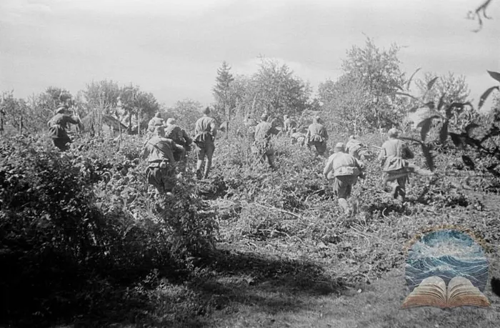 IMG_20250504_111803_165