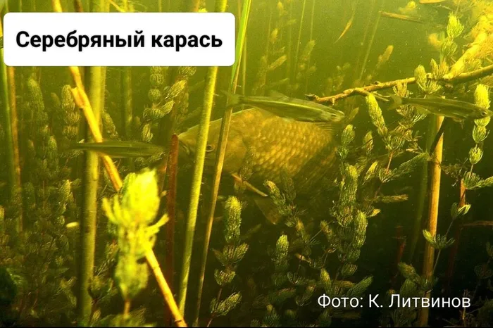 vJEqFBnk9Q0