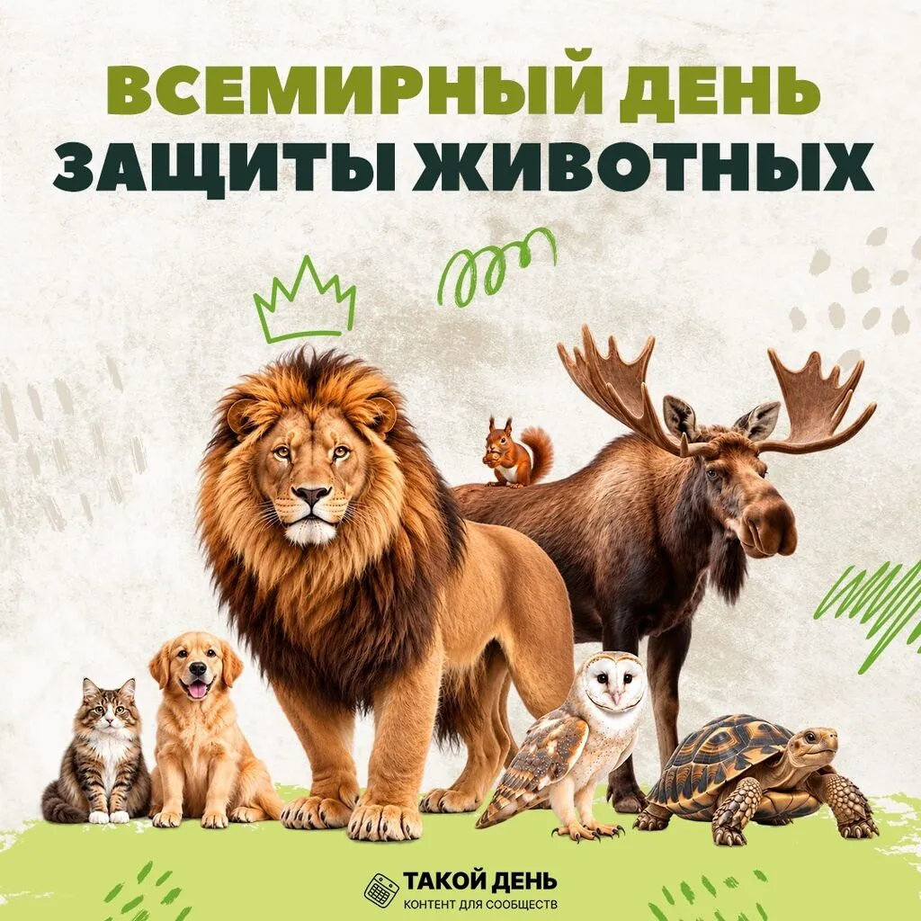 grK3IN7xzjSETYNV-CqcoMgI1RBf5R2APYGXrbZFcP6l1aSdkxGUBr5gscRj6eti_dFqmGCA7iPnLPVO_L5kFC6W.jpg