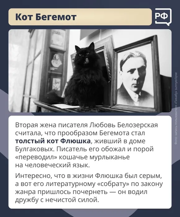 SvfOjQvdKBs