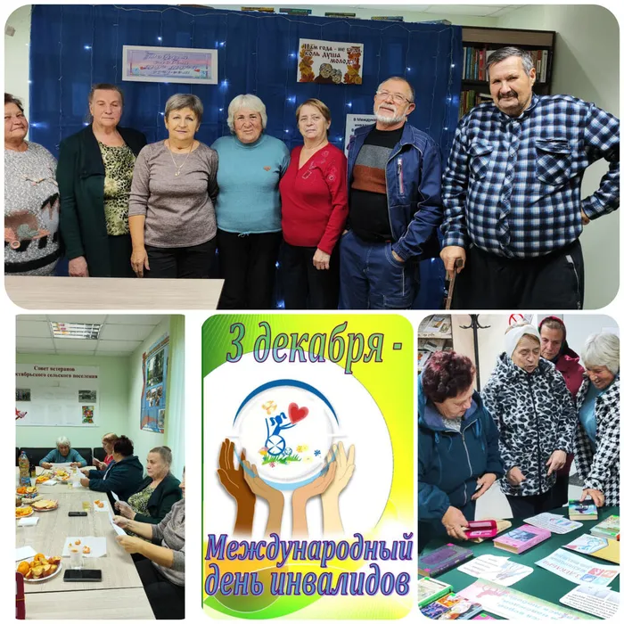 InShot_20241203_184915566